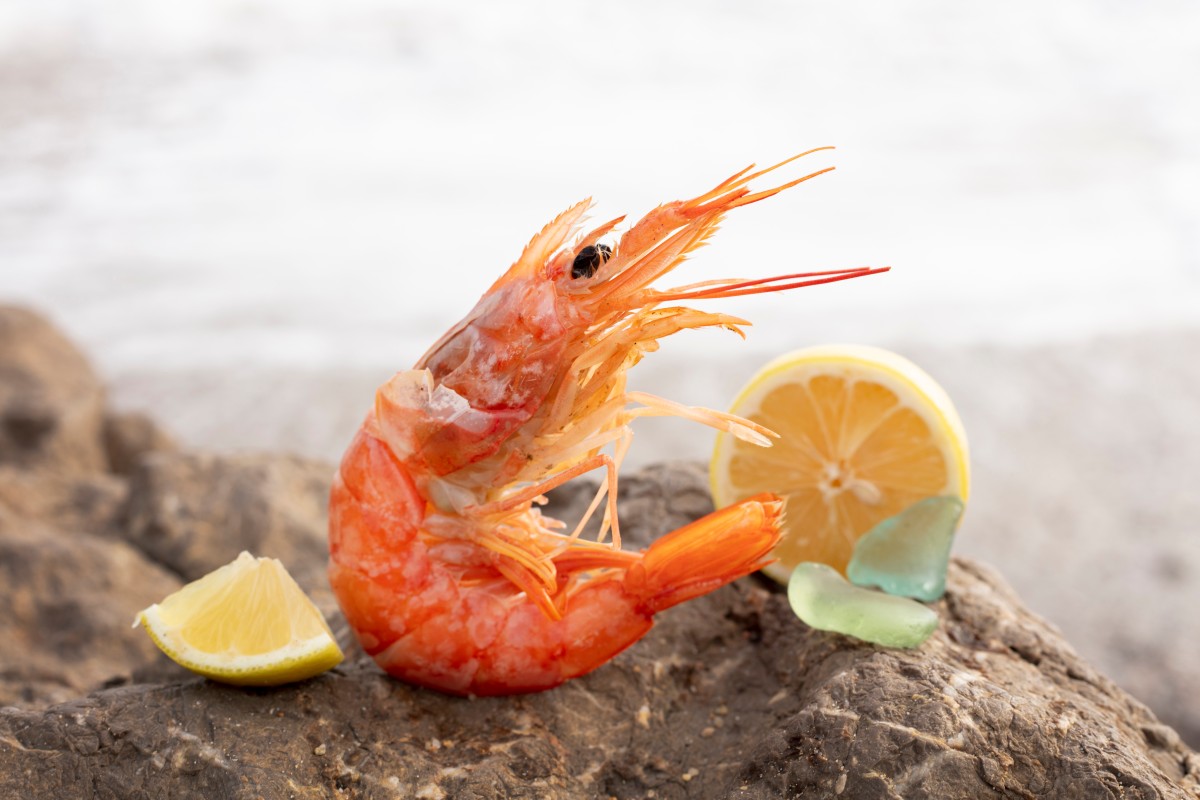 Close Up Delicious Spanish Food 4 1