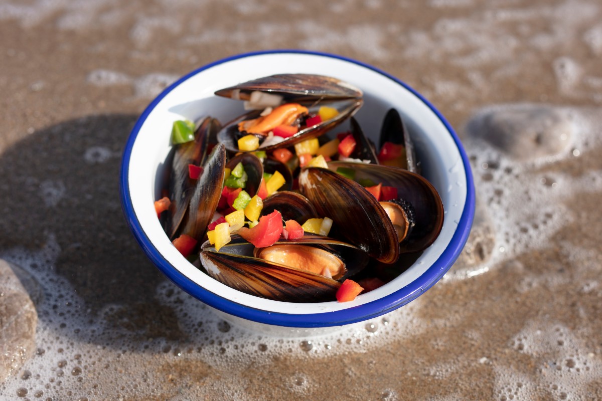 Close Up Delicious Spanish Food 9 1