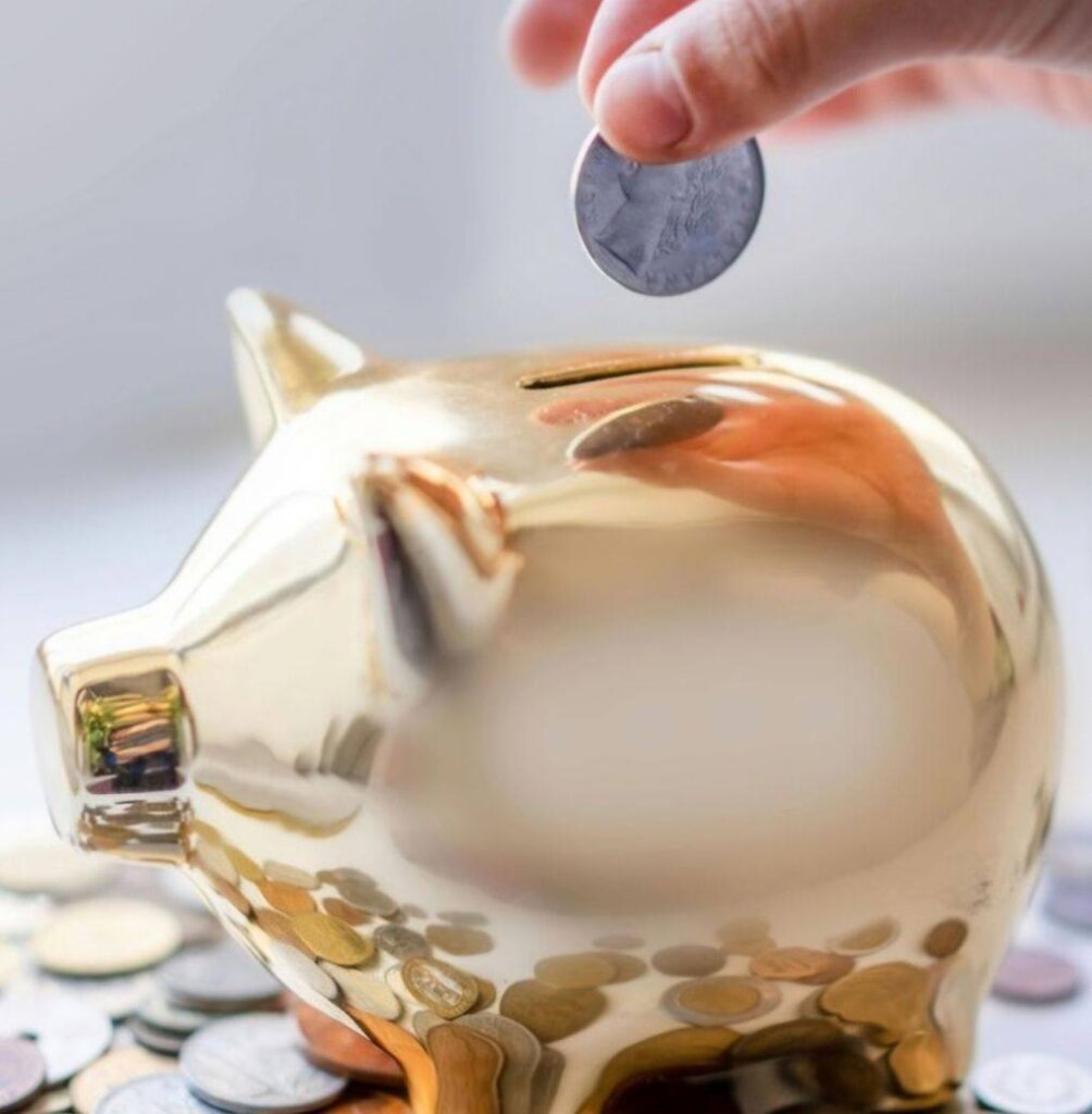 Mocoszczedzania Profilowe 1004x1024